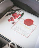 Arteastiq Tea Pot Set