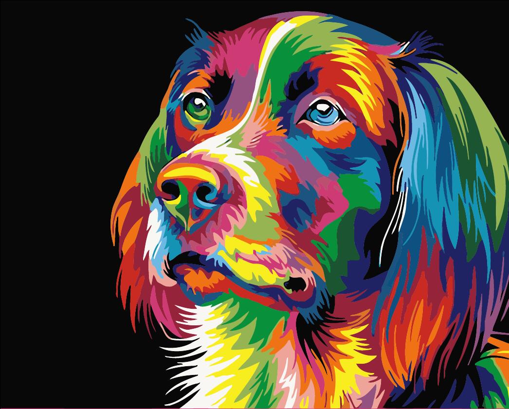 Colourful Dog